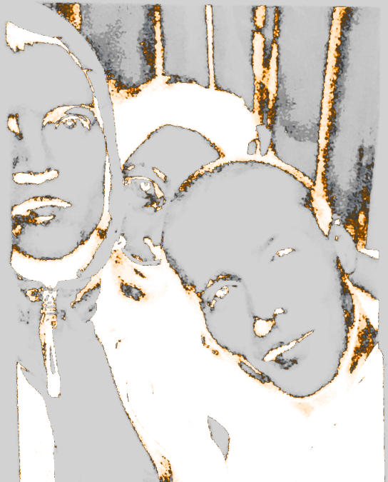 Read: The Quietus interviews Still House Plants